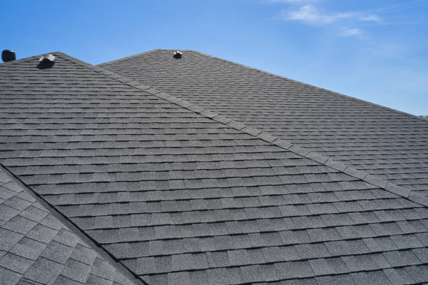 Best Chimney Flashing Repair  in Warm Mineral Springs, FL